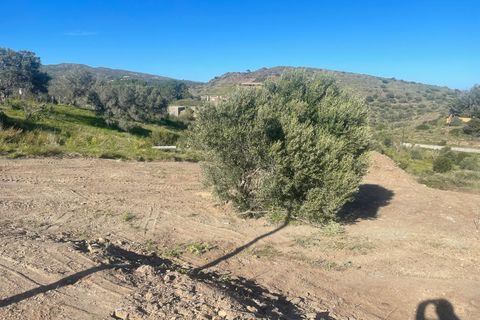 Finca i Cadaques, Gerona, Cadaques - € 3.390.000 | Ref: W-049ZLP - foto 9